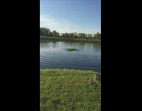 Kid on Yellow Pool Float Falls Off Into River