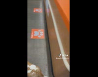 Collab Clips MPUGC - Man tells his dog its overweight 