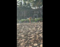 Woman in black bikini beach walk video