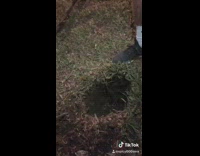 BitchMP - Digging up yellow time capsule