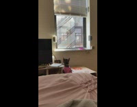 Brown cat jumps windowsill scares bird girl