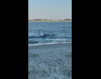 Two people swim in mermaid tales in ocean