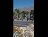 Man in black jacket dance at the park with trees