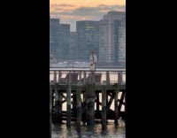 Man jetski to man makes music video