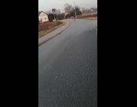 Three deers cross street lawn guy bike