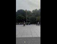 Cat in the hat filming video at park