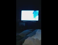 Pet cat lie down bed watches movie