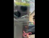 Dog drinks coffee inside car 