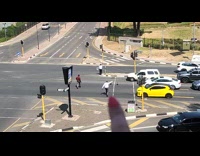 Men stop traffic to assist geese family
