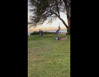 Girl blue silk dance hang on tree