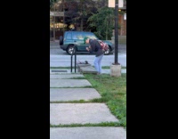 Man green hat with laptop park rap