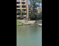 Guy super mario hat ride cart water