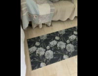 Cat gets pulled under the bed