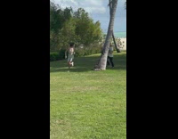 Guy follow woman running between palm trees