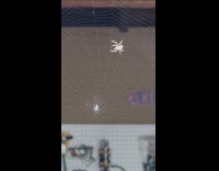 ericthygamer on Twitter