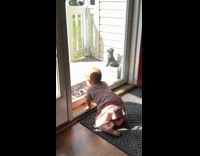 Baby bangs head on glass door 