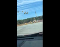 Traffic lights swings and rolls in wind