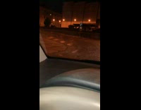 Car follows rabbit run on street night