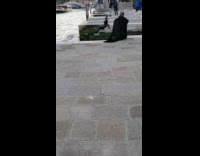 Catwoman and Batman have photoshoot 