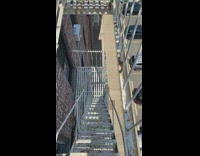 Man found large snake on fire escape