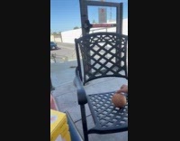 Man knocks coconut with hand and grunts