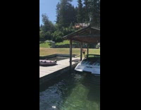 Guy runs dock dives head first lake 