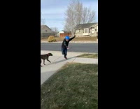 Boy in blue helmet falls on rollerblades
