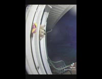 Bug lands on door gets eaten by bird 