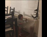 Little kid plays black cat behind blinds 