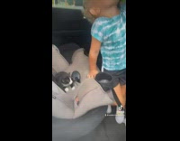 Mom surprises little boy with small kitty cat
