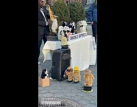 Man playing saxophone with dancing plushies