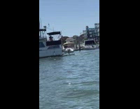 Two women in bikini in front of the boat