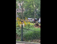 Lady models with yellow flowers 
