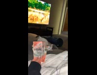 Grey and white kitten plays with money 