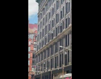 Lots of bees fly on street nyc