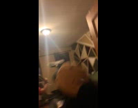 Collab WINY - Two guys hold items bat fly inside apartment