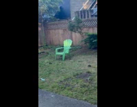 Man shows yard full of rats pt. 2