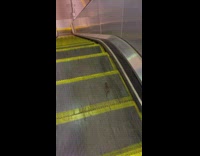 Rat tries to run against escalator 