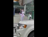 White bunny rabbit costume sidewalk pink gloves
