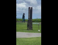 Woman black top dance on grass pool