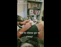 Small dog falls asleep guys lap 