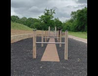 Husky dog jumps over metal bars obstacle 