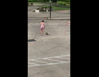 Lady in white red dress walking cat on leash