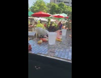 Parrot bird resort says hola