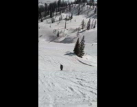 Skier does triple backflip 