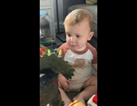 Baby fake laughs at dinosaur 