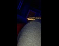 Pet snake on the neck of the filmer yawns