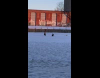 Woman black coat lingerie snow red wall