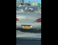 Guy makes fun of silver car freeway 