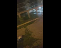 Group people ride and throw shopping carts